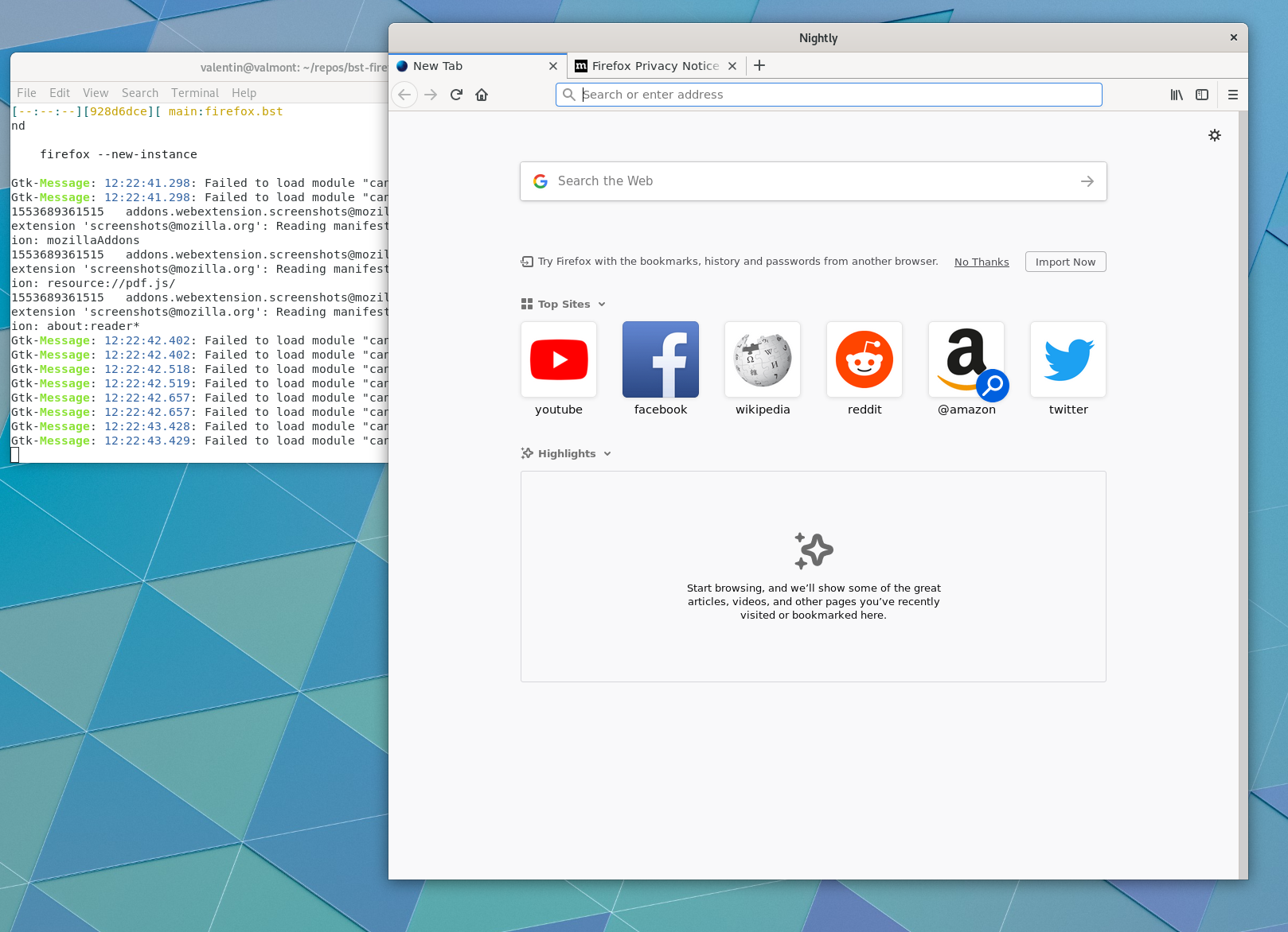 Firefox on “bst shell”